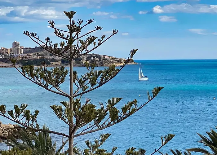 13 Rocafel 7 Playa Albufereta Alicante